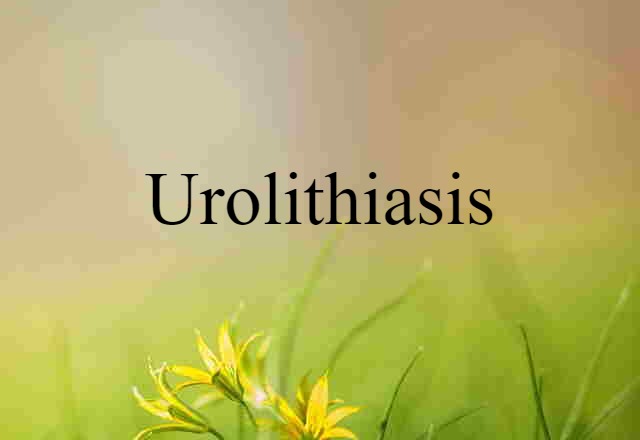 urolithiasis