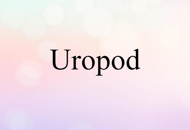 uropod