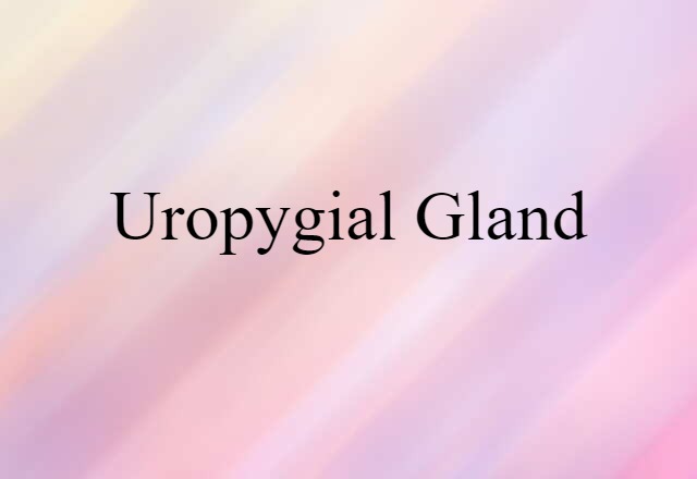 Uropygial Gland (noun) Definition, Meaning & Examples