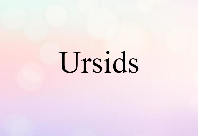 Ursids (noun) Definition, Meaning & Examples