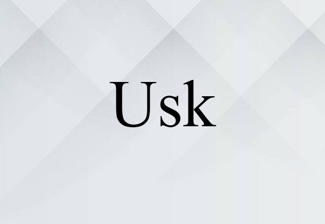 Usk (noun) Definition, Meaning & Examples