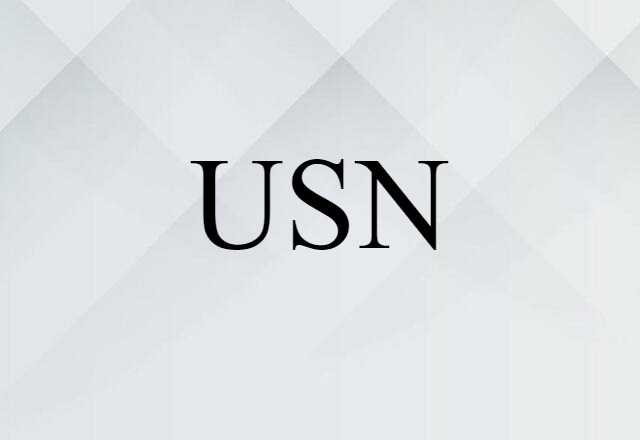 USN (noun) Definition, Meaning & Examples