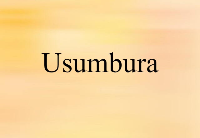 Usumbura (noun) Definition, Meaning & Examples