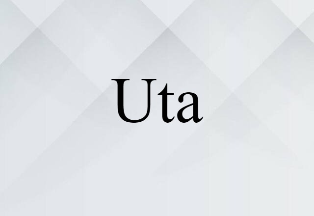 Uta (noun) Definition, Meaning & Examples