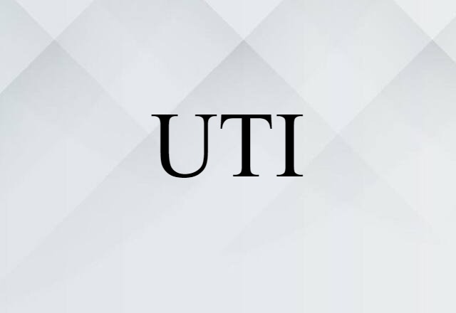 UTI (noun) Definition, Meaning & Examples