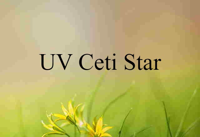 UV Ceti Star (noun) Definition, Meaning & Examples