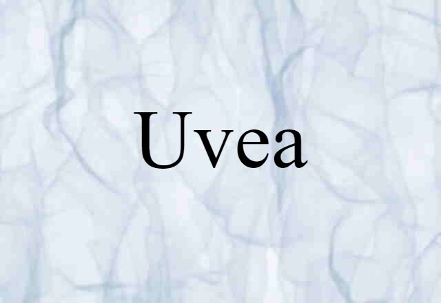 uvea