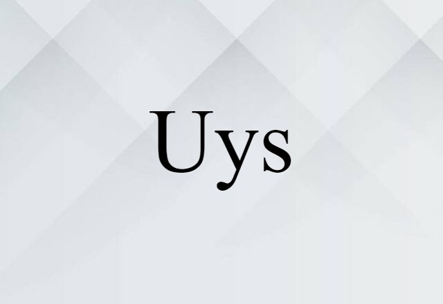 Uys