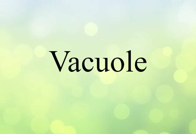 Vacuole (noun) Definition, Meaning & Examples