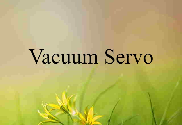 vacuum servo