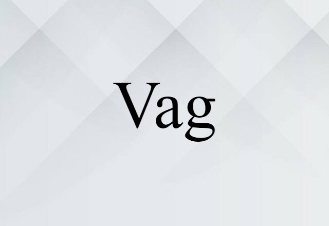 Vag (noun) Definition, Meaning & Examples