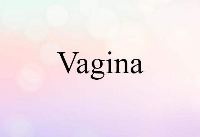 vagina