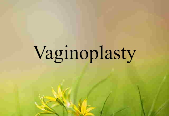 vaginoplasty