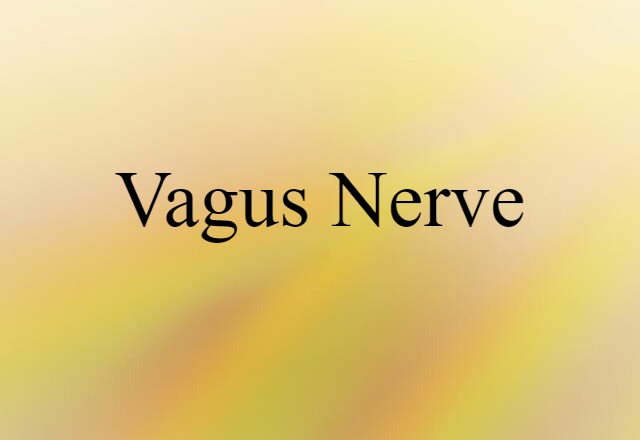 vagus nerve