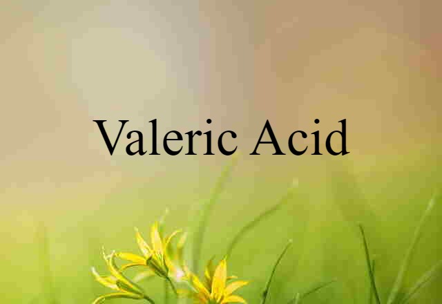 Valeric Acid (noun) Definition, Meaning & Examples