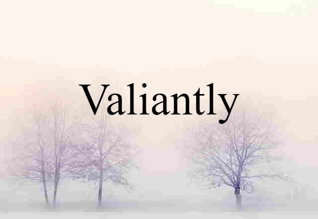 Valiantly (noun) Definition, Meaning & Examples