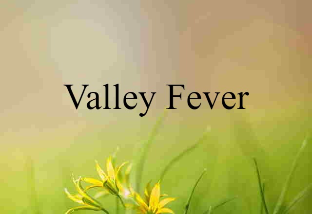 Valley Fever (noun) Definition, Meaning & Examples