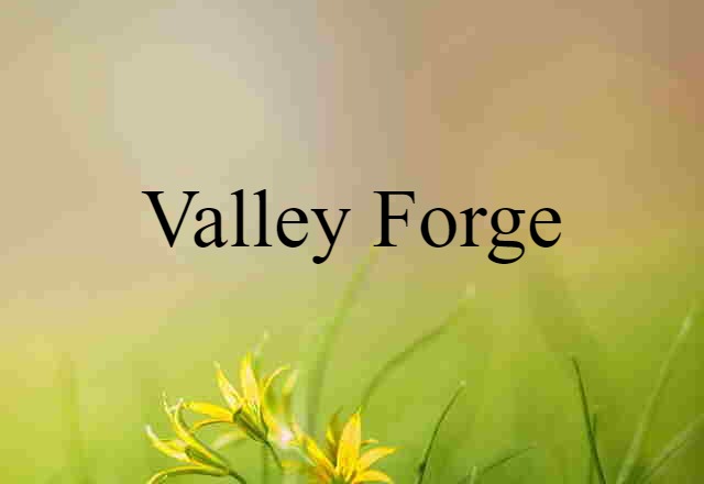 Valley Forge (noun) Definition, Meaning & Examples