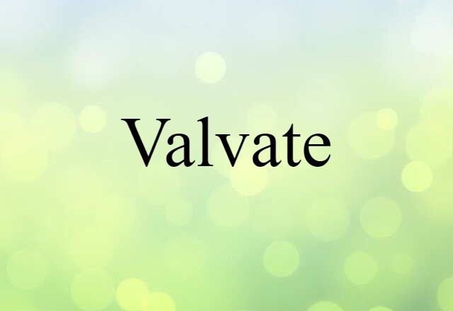 valvate