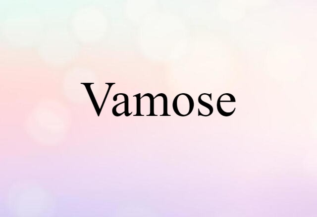 Vamose (noun) Definition, Meaning & Examples