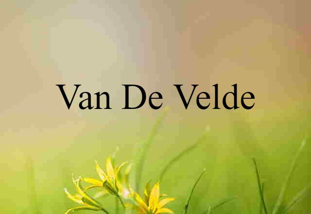 Van De Velde (noun) Definition, Meaning & Examples