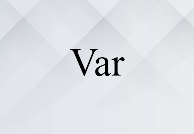 Var (noun) Definition, Meaning & Examples