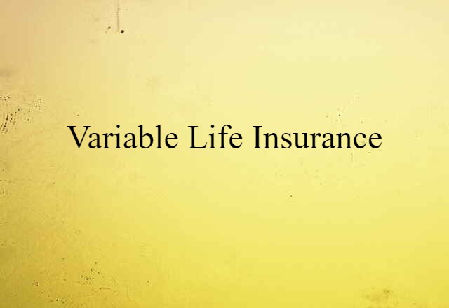 variable life insurance