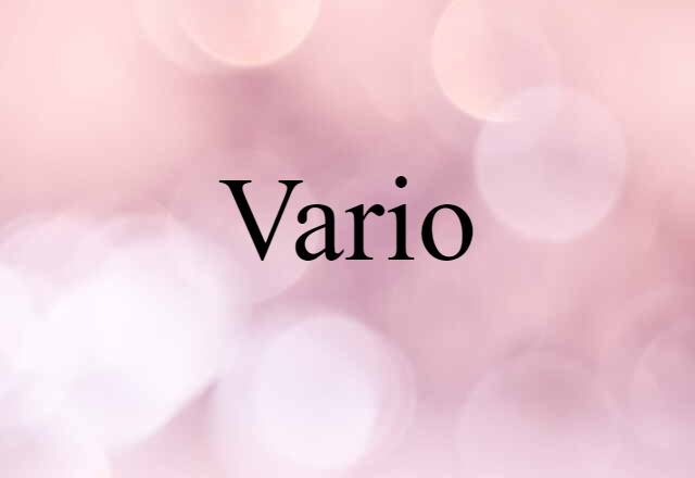 Vario (noun) Definition, Meaning & Examples