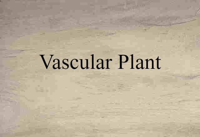 Vascular Plant (noun) Definition, Meaning & Examples