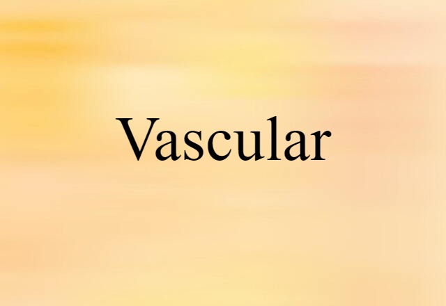 vascular