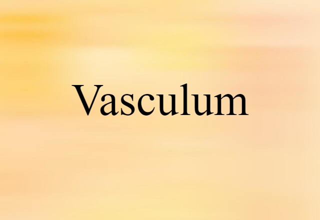 vasculum