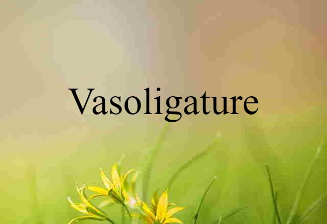 vasoligature