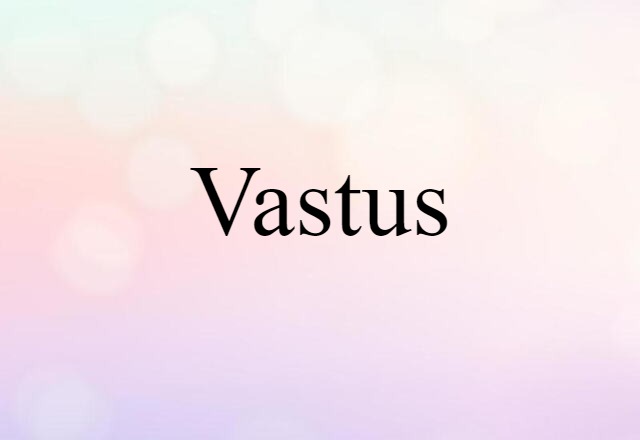 vastus