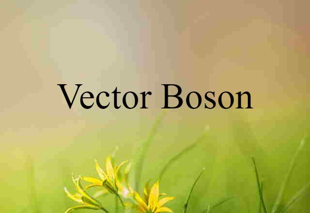 vector boson