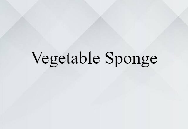 vegetable sponge