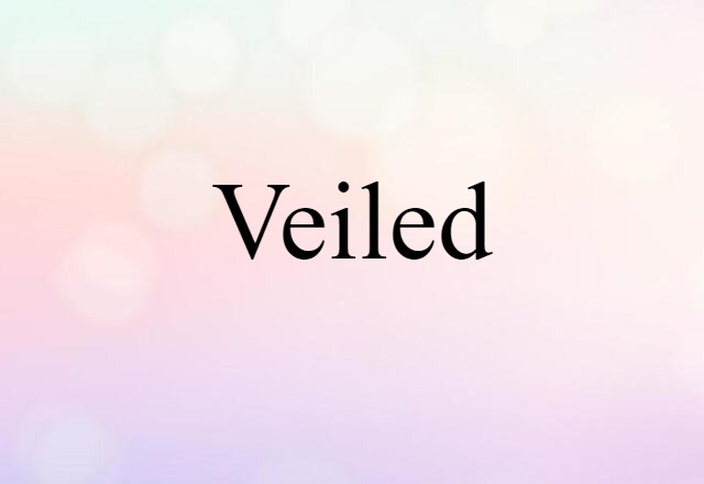 Veiled (noun) Definition, Meaning & Examples