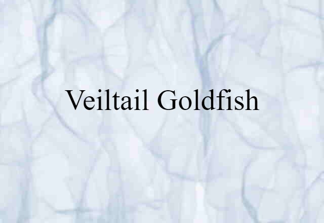 veiltail goldfish