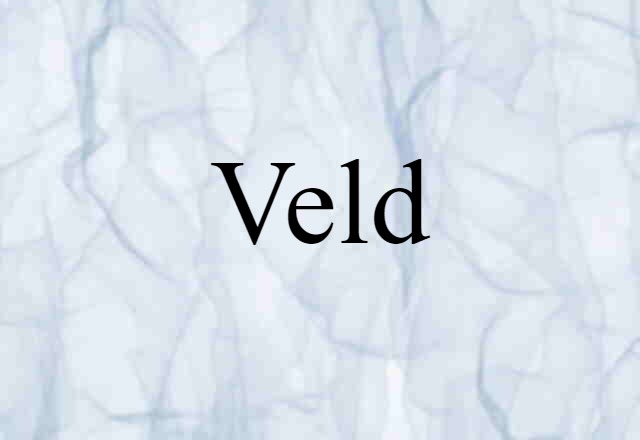 Veld (noun) Definition, Meaning & Examples