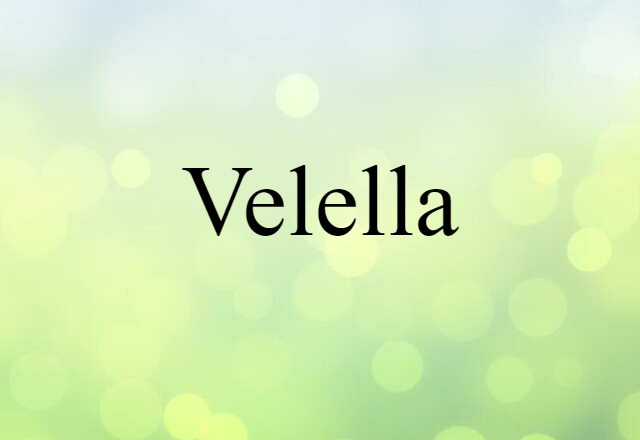 velella