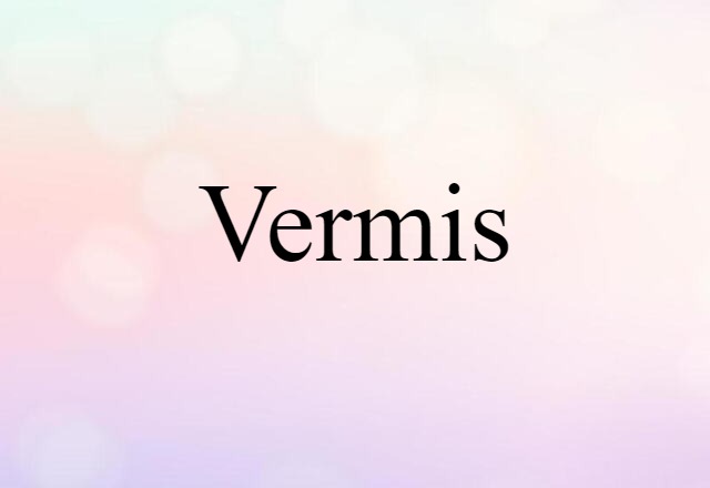 Vermis (noun) Definition, Meaning & Examples