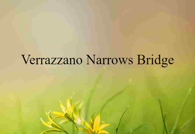 Verrazzano-Narrows Bridge