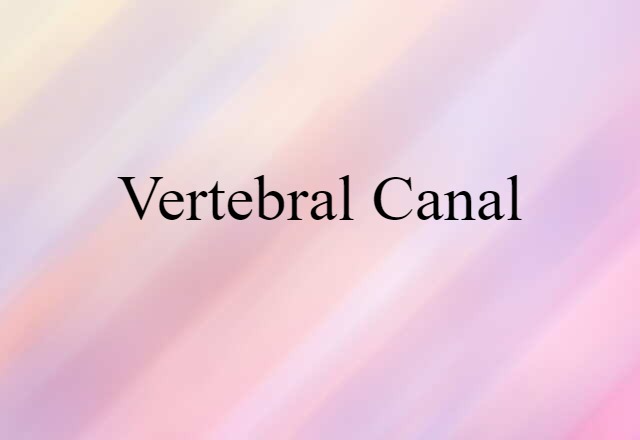 vertebral canal