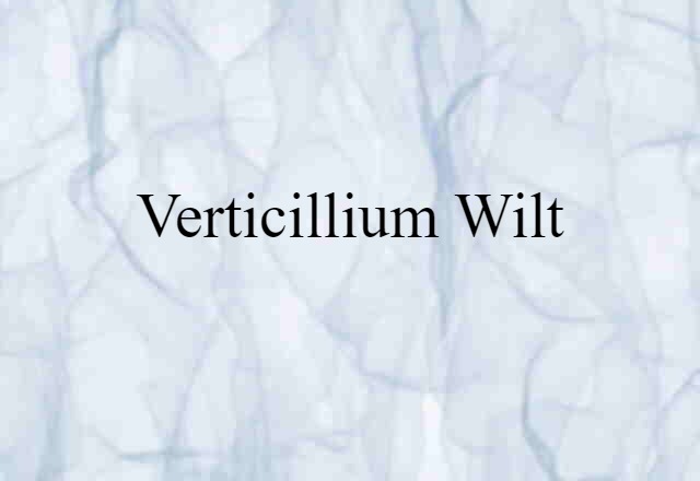 verticillium wilt