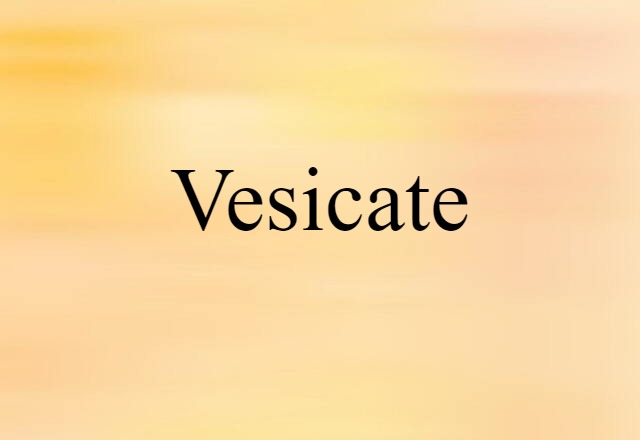 Vesicate (noun) Definition, Meaning & Examples