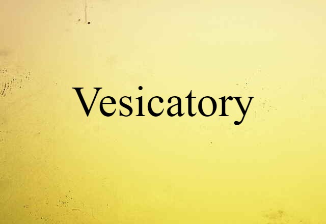 Vesicatory (noun) Definition, Meaning & Examples