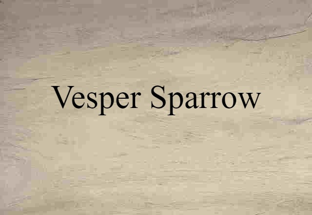 Vesper Sparrow (noun) Definition, Meaning & Examples