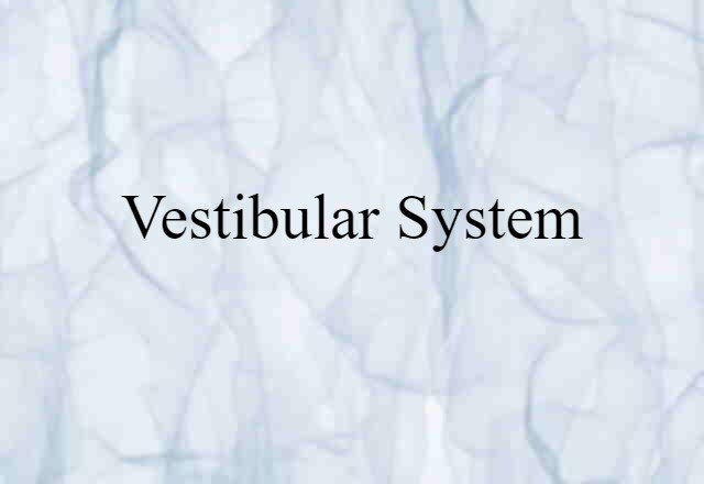 Vestibular System (noun) Definition, Meaning & Examples