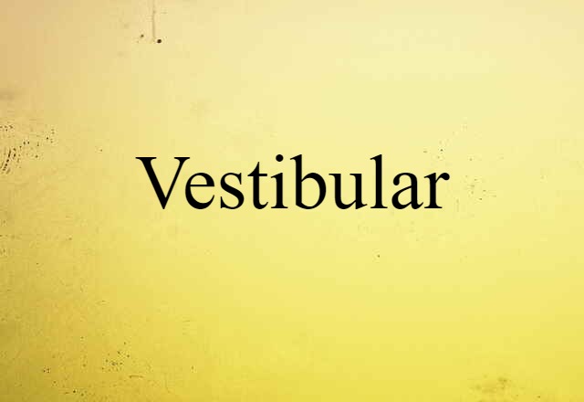 Vestibular (noun) Definition, Meaning & Examples