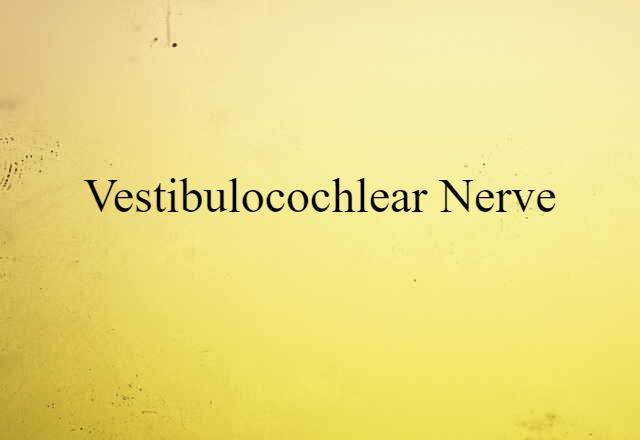 vestibulocochlear nerve