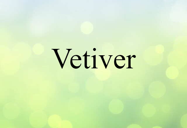 Vetiver (noun) Definition, Meaning & Examples